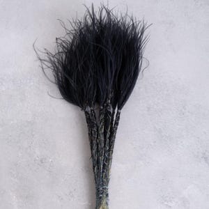 May include: A bunch of black feathers, possibly ostrich, presented together. The feathers are long, soft, and slightly curved, creating a full, textured appearance. The stems are bound with metallic thread, and the background is a light grey.