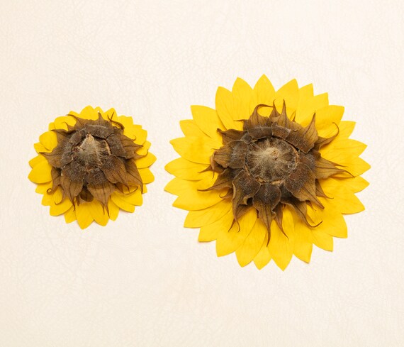 100 Stück Flache Sonnenblumen Aus Kunstharz - 18 Mm, Für Basteln & Deko