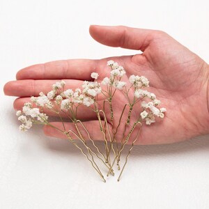 May include: Six gold hair pins with small white dried flowers attached to the ends. The pins are arranged in a hand.