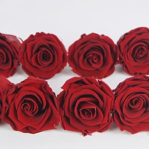 Konservierte Rosen, 5 cm, 8 Rosenköpfe, Royal Red, Konservierte Blumen, Rosenkopf, Hochzeits-Rose, DIY Blumenschmuck