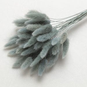 Bunny Tails, grey color, Dried Lagurus, Dried Grass, Rabbit Tails, Decor, Bouquet, Natural Fluff, Gift, Home Decor, Dried Flowers, Boho