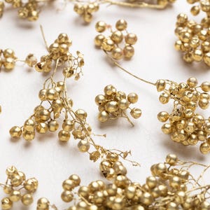 Peperboom, antieke gouden peperbes kleine stengels, gedroogde peper, gedroogde bessen, gedroogde herfstbessen voor hars, kunstnijverheid, sieraden,