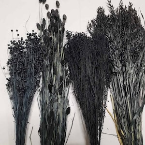 Könnte beinhalten: Eine Sammlung von vier verschiedenen Bündeln getrockneter, schwarz gefärbter botanischer Elemente. Das Arrangement umfasst ein Bündel kleiner runder Samenkapseln, eine Gruppe flauschiger Grashalme, ein dichtes Bündel feiner Zweige und lange, flache Blätter.