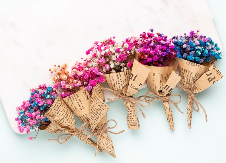 wedding favors, Gypsophila Flowers Baby's Breath Bouquet, Dried Flowers, Cake Decoration, Colorful gypsophila flowers, Wedding Home Decor image 1