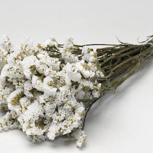 Limonium Statice séché, Blanc, Fleurs, Décoration d'intérieur, Fleurs séchées, Décoration de mariage, Bohème, Fleurs de mariage bohèmes, Fleurs séchées naturelles