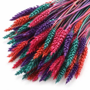 Puede incluir: Un manojo de tallos de trigo secos teñidos en tonos vibrantes de morado, verde azulado, magenta y naranja. Cada tallo presenta una espiga texturizada unida a un tallo fino y coloreado, creando un arreglo denso y multicolor de elementos botánicos secos.