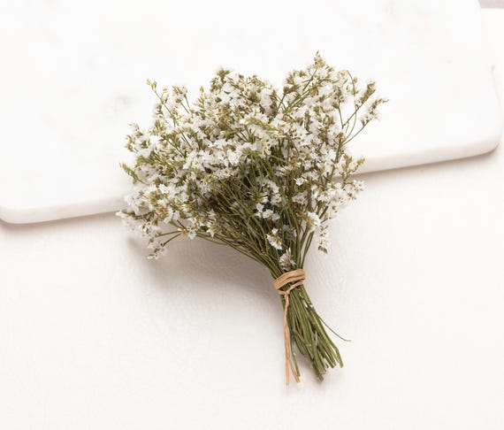 Confezione Da 50 Gypsophila Bianca Essiccata - Fiori Secchi Naturali Per Decorazioni, 7-10cm - Foto 8