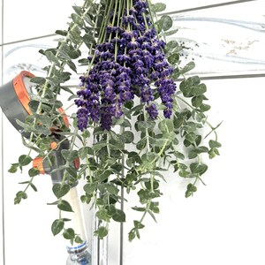 Shower Eucalyptus Bundle, Fresh Eucalyptus, Baby Blue Eucalyptus, fresh lavender shower,