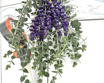 Pacote de Eucalipto para Banho, Eucalipto Fresco, Eucalipto Azul Bebê, Banho de Lavanda Fresca,