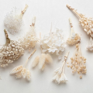 Puede incluir: Una colecci&oacute;n de peque&ntilde;os ramos individuales de flores y hierbas secas en tonos crema, beige y blanco. Cada manojo est&aacute; atado con hilo fino y presenta diversas texturas, incluyendo paniculata, colas de conejo y tallos de trigo.