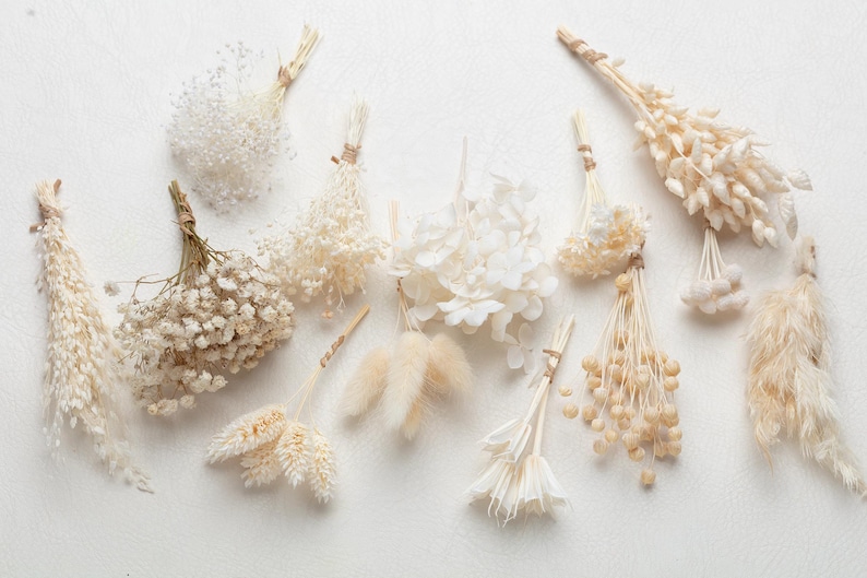 Puede incluir: Una colecci&oacute;n de peque&ntilde;os ramos individuales de flores y hierbas secas en tonos crema, beige y blanco. Cada manojo est&aacute; atado con hilo fino y presenta diversas texturas, incluyendo paniculata, colas de conejo y tallos de trigo.