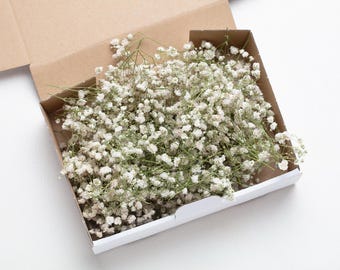 wedding dried flowers, Preserved White Baby's Breath, Wedding Decor, Greeting Cards, preserved flowers, baby breath