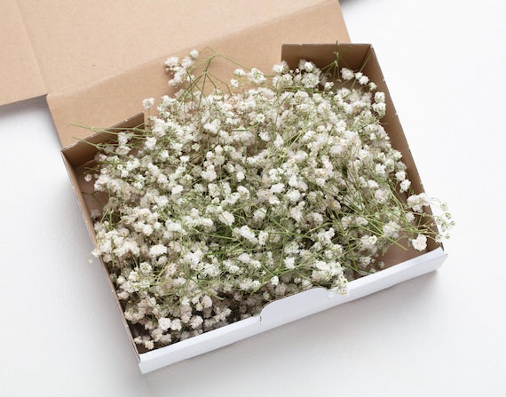 wedding dried flowers, Preserved White Baby's Breath, Wedding Decor, Greeting Cards, preserved flowers, baby breath