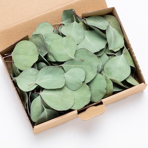 eucalyptus leaf confetti 100% biodegradable, natural table decoration, eucalyptus decoration, eucalyptus, green,