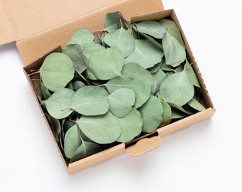 eucalyptus flower confetti with Bag, 100% biodegradable, natural table decoration, eucalyptus decoration, eucalyptus, green,