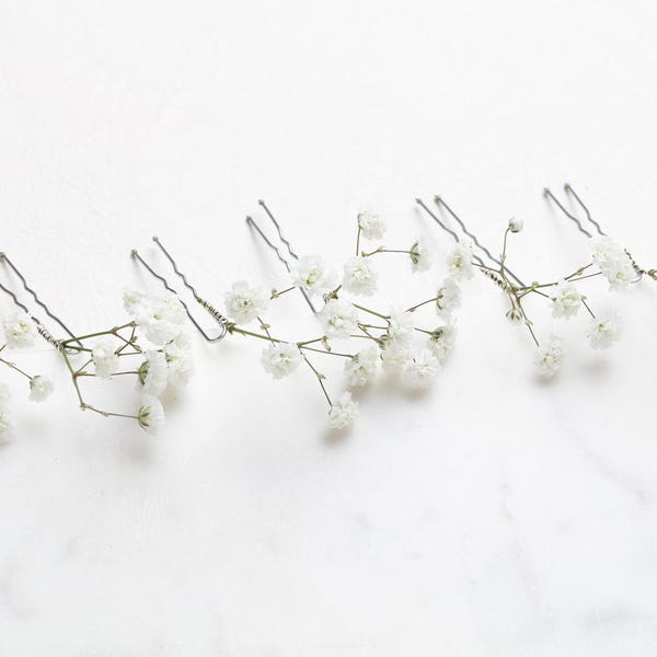 Winzige Schleierkraut Braut Haarnadeln Konserviert Gypsophila Hochzeit Haarschmuck, Boho Blumenclips, Waldbraut Haarteil 6er Set