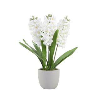Può includere: Una pianta artificiale di giacinto in vaso con tre grappoli di fiori bianchi densi a forma di stella. La pianta presenta lunghe foglie verdi appuntite e vivaci che si estendono verso l'alto da un semplice vaso cilindrico in ceramica grigio chiaro.