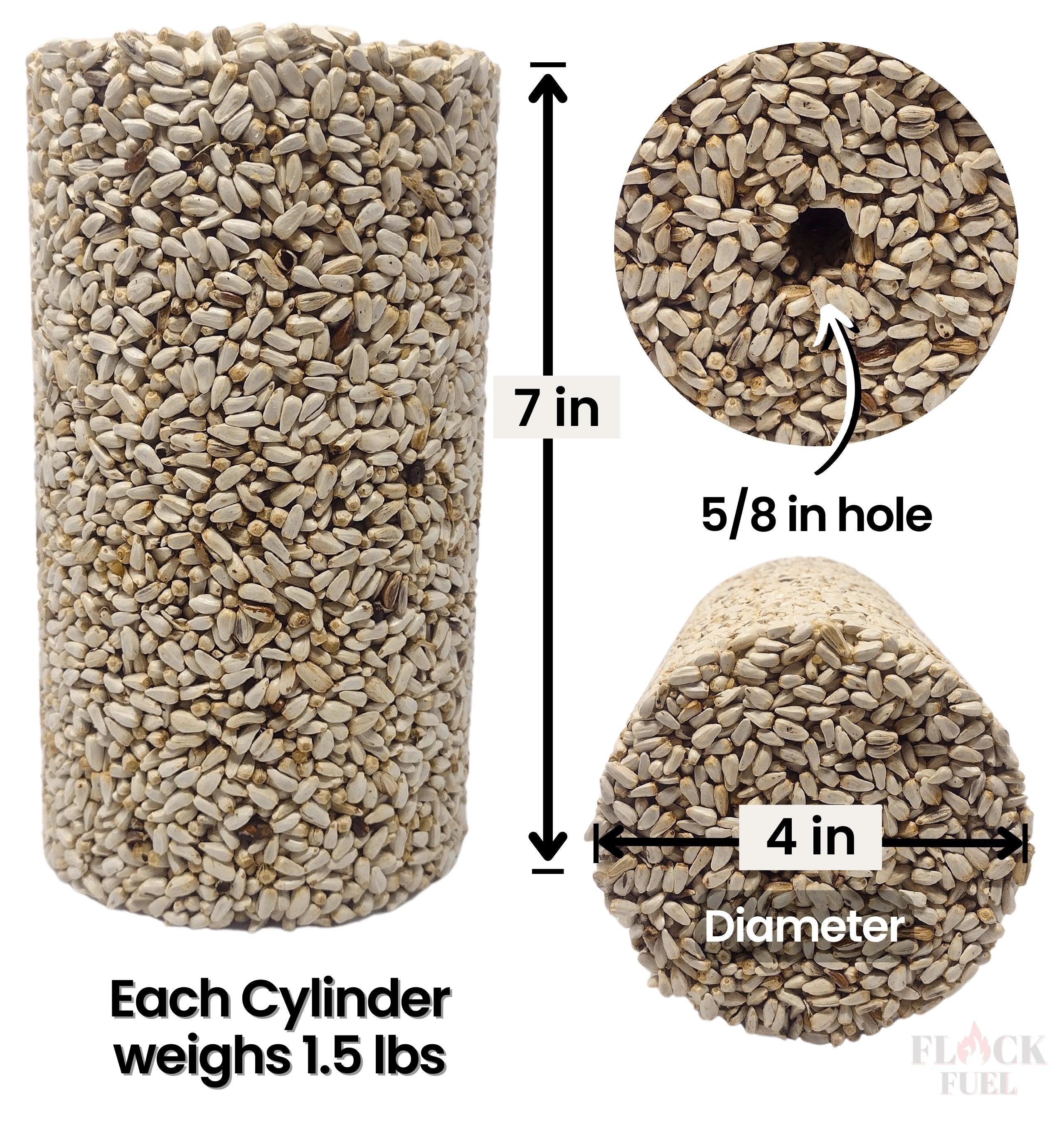 Safflower Wild Bird Seed Cylinder Pack of 4 Etsy