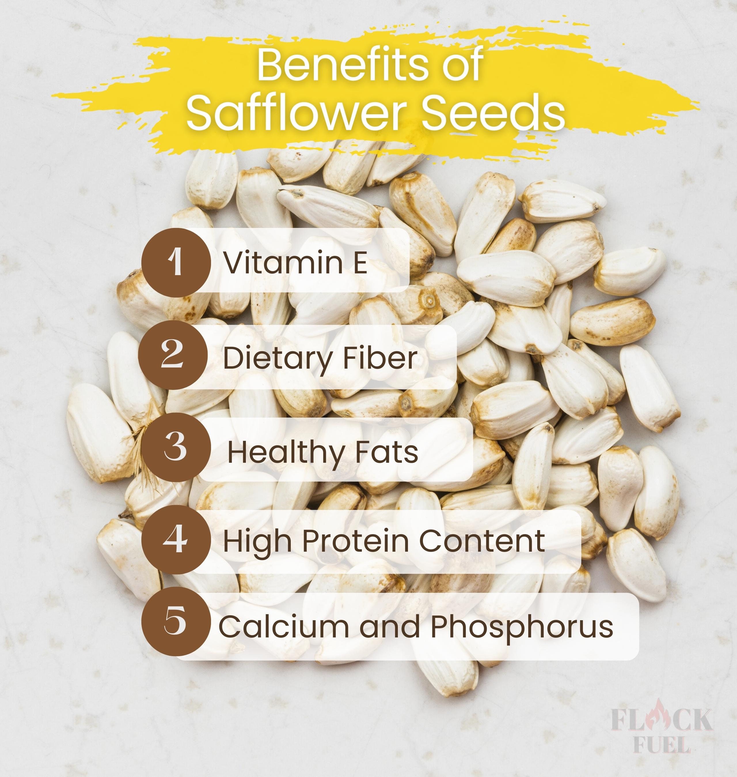 Safflower Wild Bird Seed Cylinder Pack of 4 Etsy