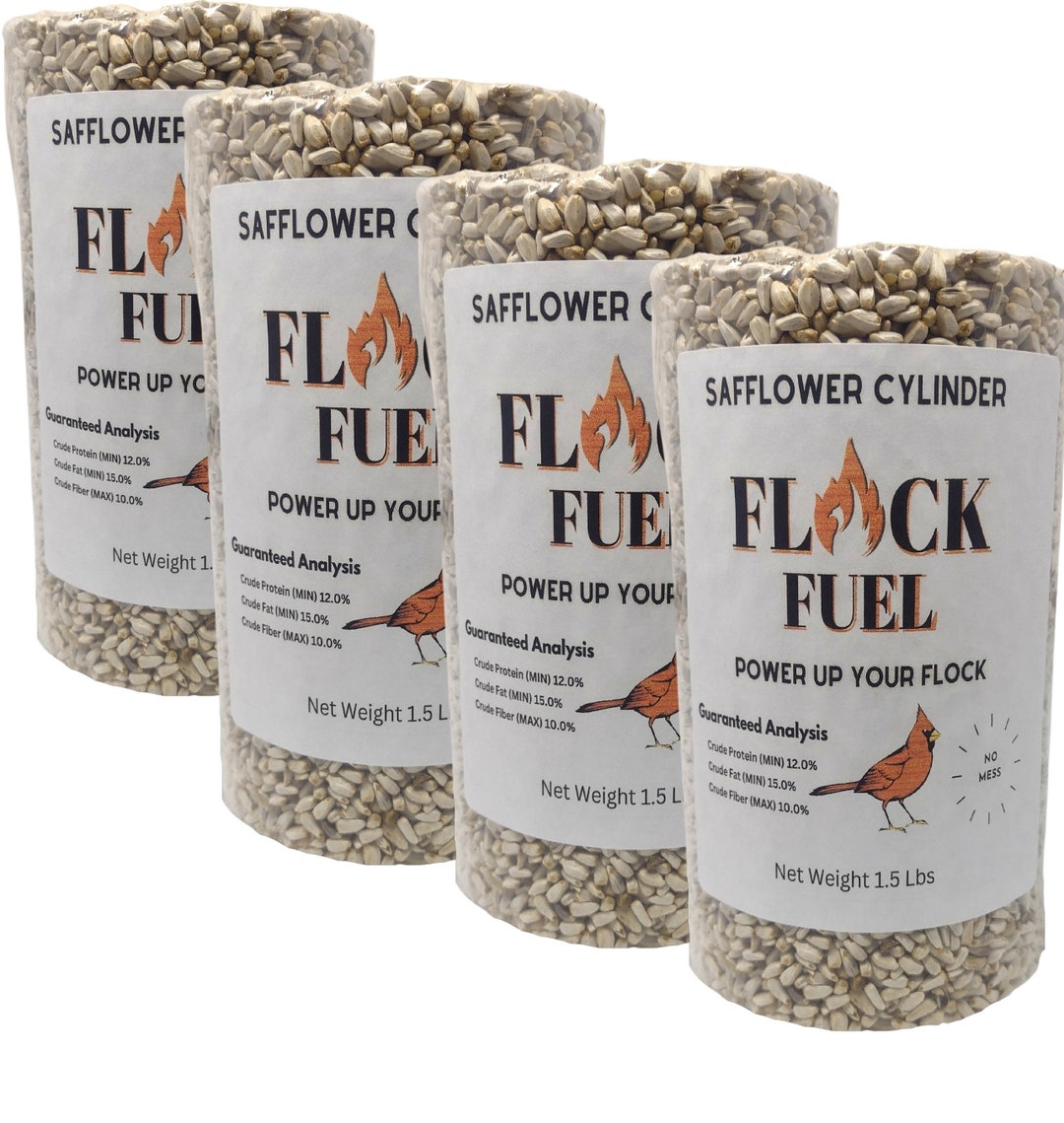 Safflower Wild Bird Seed Cylinder Pack of 4 Etsy