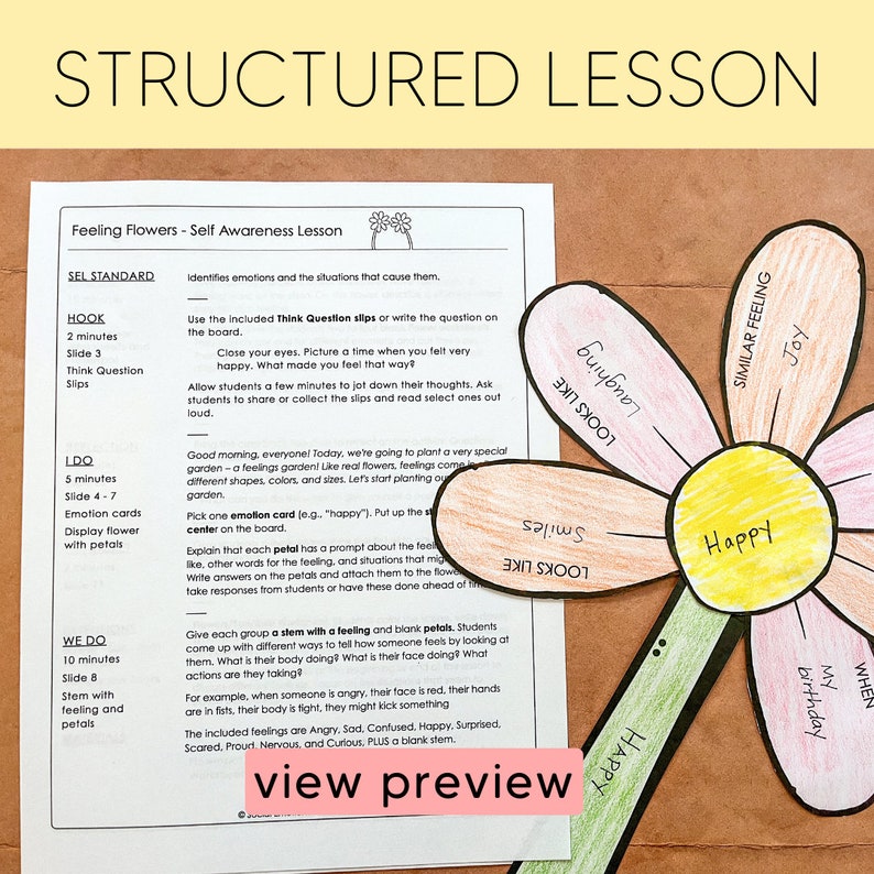 Identifying Emotions - Feelings Lesson - Social Emotional Learning ...