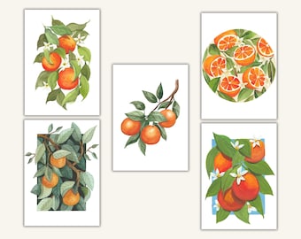 5 Postkarten Orangen, A6 Postkarte Frühling, Blumen Obst Pflanzen Illustrationen, süße Karten, Botanische Illustrationen, instant download