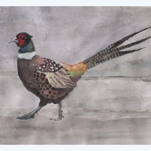Puede incluir: Pintura a la acuarela de un faisán en tonos marrones, rojos y grises. El ave se representa caminando, con plumas detalladas y una larga cola. El fondo es gris apagado, creando una escena suave y naturalista.