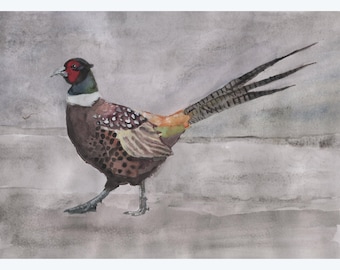 Pheasant Giclee A4 Fine Art Print 2025
