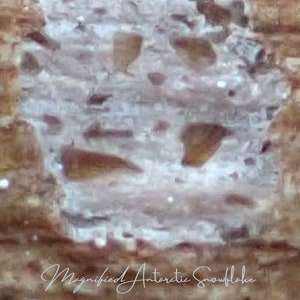 Snowflake Photography -Winter Wall Decor- Snowflake Digital Print -Snowflake Print-Magnified Antarctic Snowflake Clear- Brown