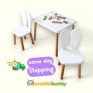 Hand-Painted Montessori Kids Table and Chair Set: Bunny/Mouse/Kangaroo