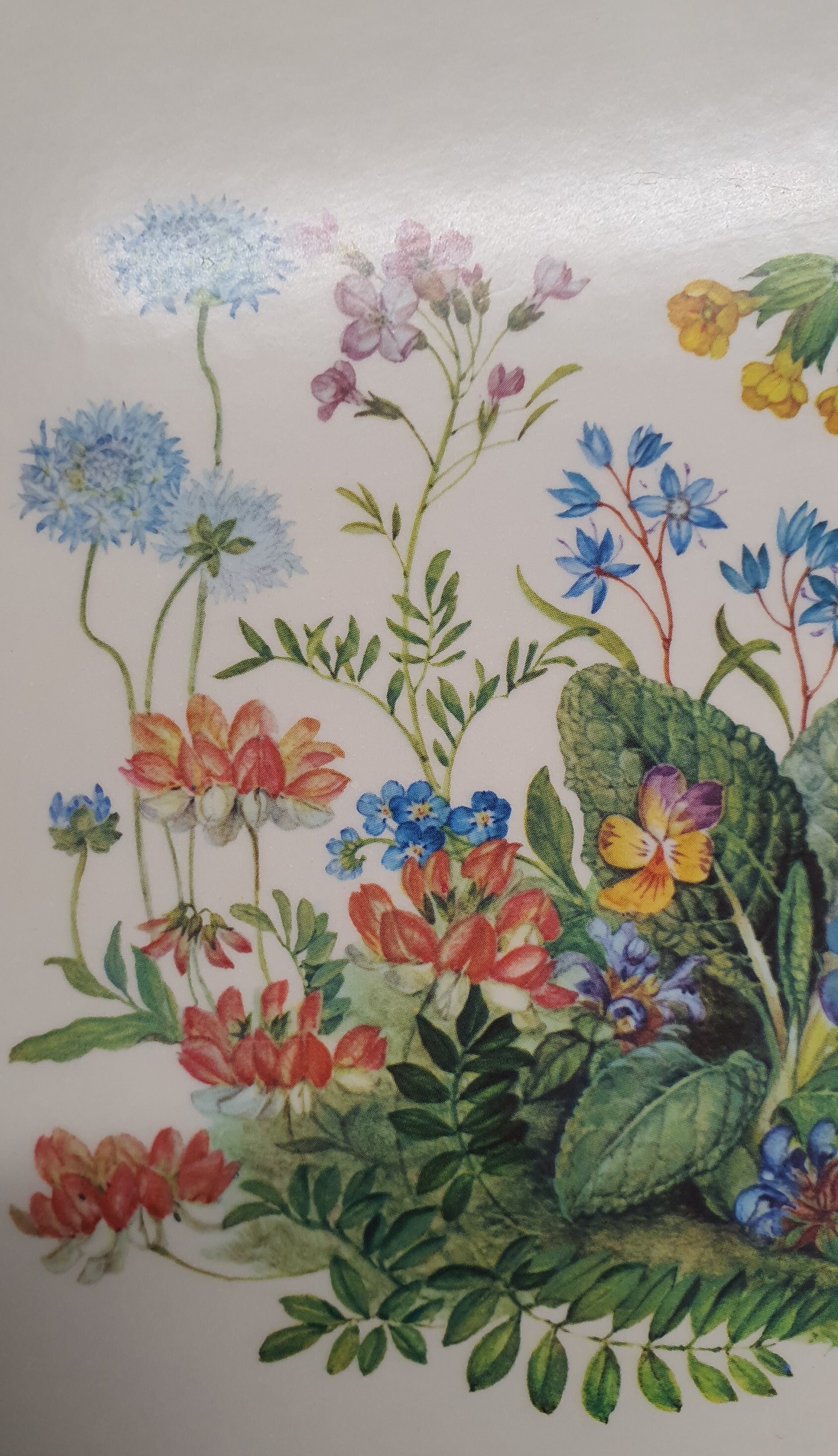 Set of Six Vintage Pimpernel Floral, English Garden/meadow Flowers Placemats/trivets With Cork