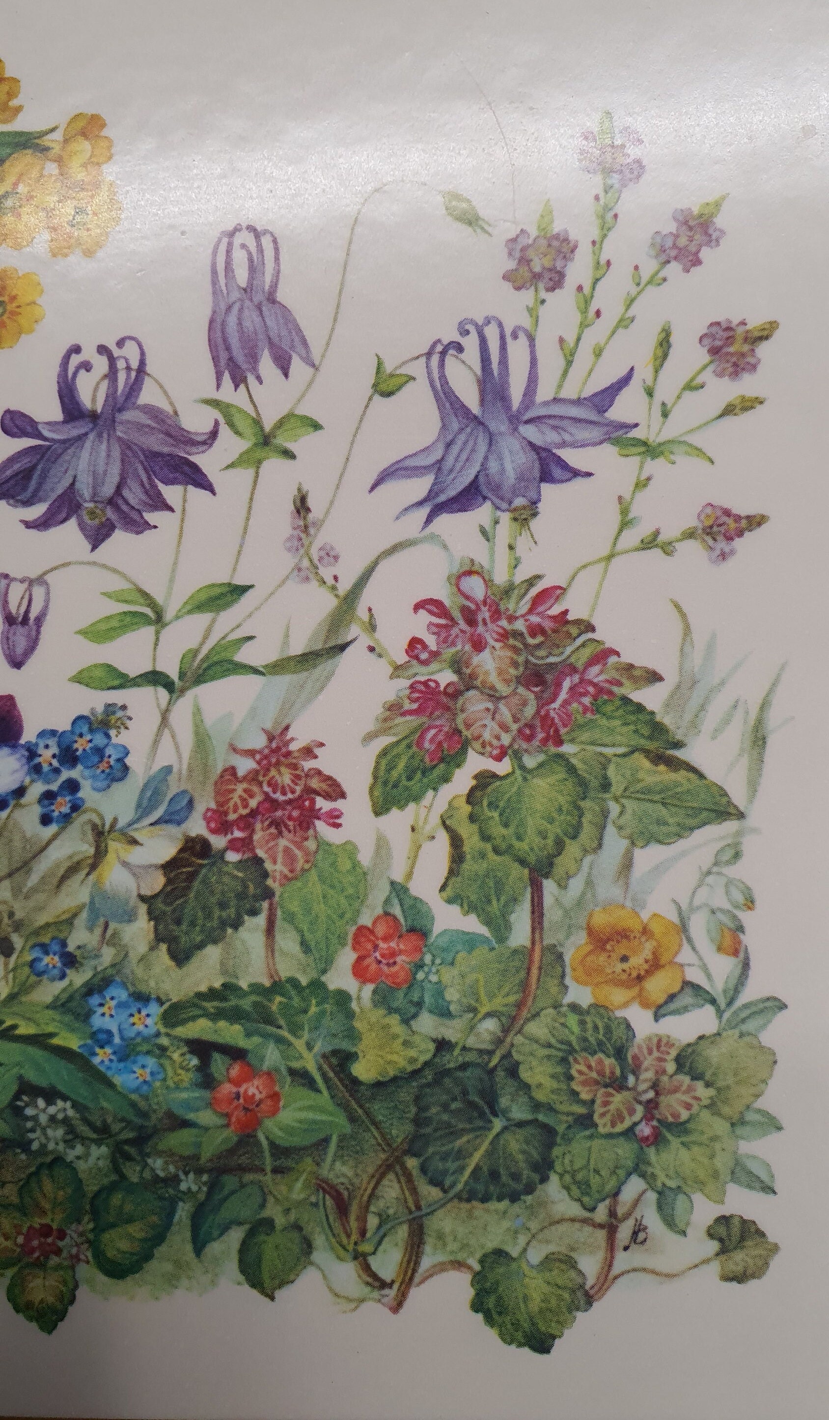 Set of Six Vintage Pimpernel Floral, English Garden/meadow Flowers Placemats/trivets With Cork