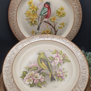 A pair of Vintage Purbeck Pottery Plates of a Bull Finch & Green Finch the image is signed by "M Hague"