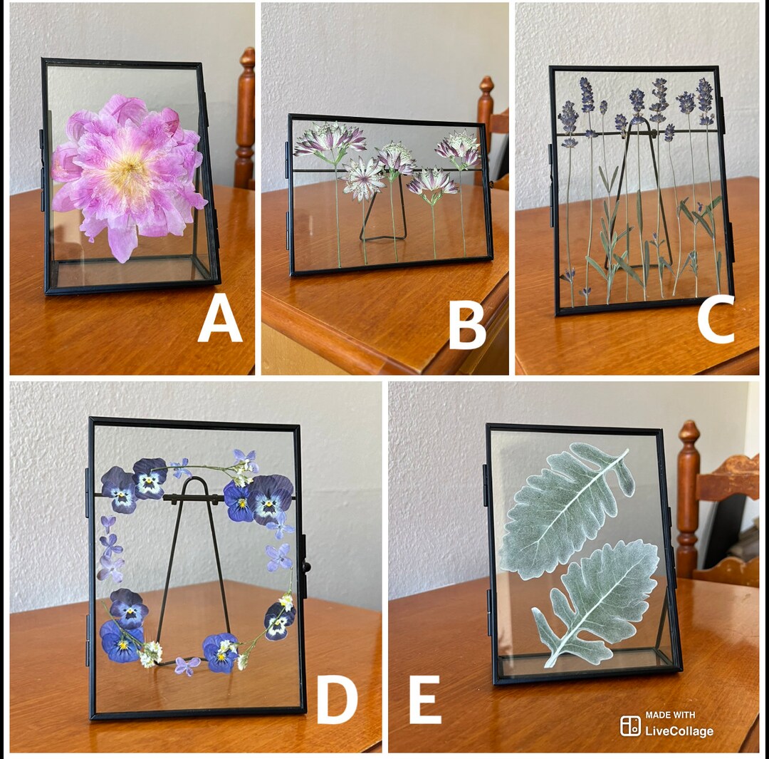 Pressed Flowers in Floating Glass Frames Pressed Floral Art Etsy