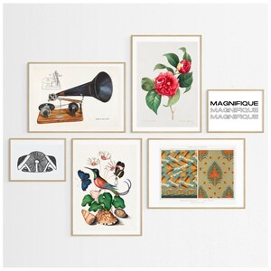 Gallery Wall Set of 6 Vintage & Botanical Prints