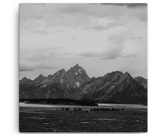 Czarno-białe płótno Grand Tetons