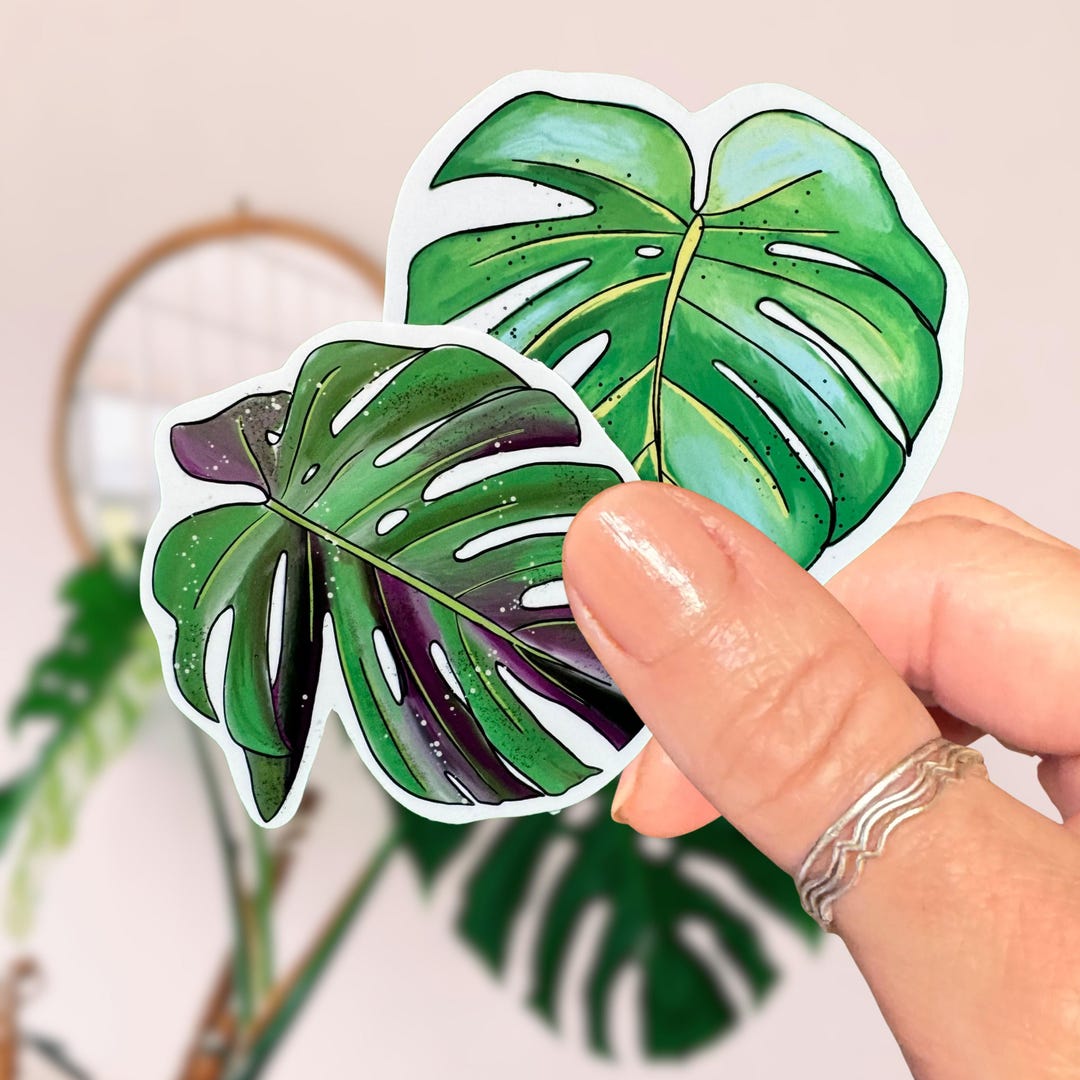 Monstera Leaf Duo Vinyl Stickers~plant Stickers~sold as a Pack of Two ...