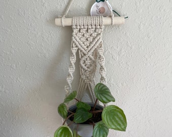 May include: A macrame plant hanger with a small gray pot holding a green plant with striped leaves. The plant hanger is made of cream-colored rope and has a wooden dowel at the top. A small tag with a botanical design hangs from the dowel.