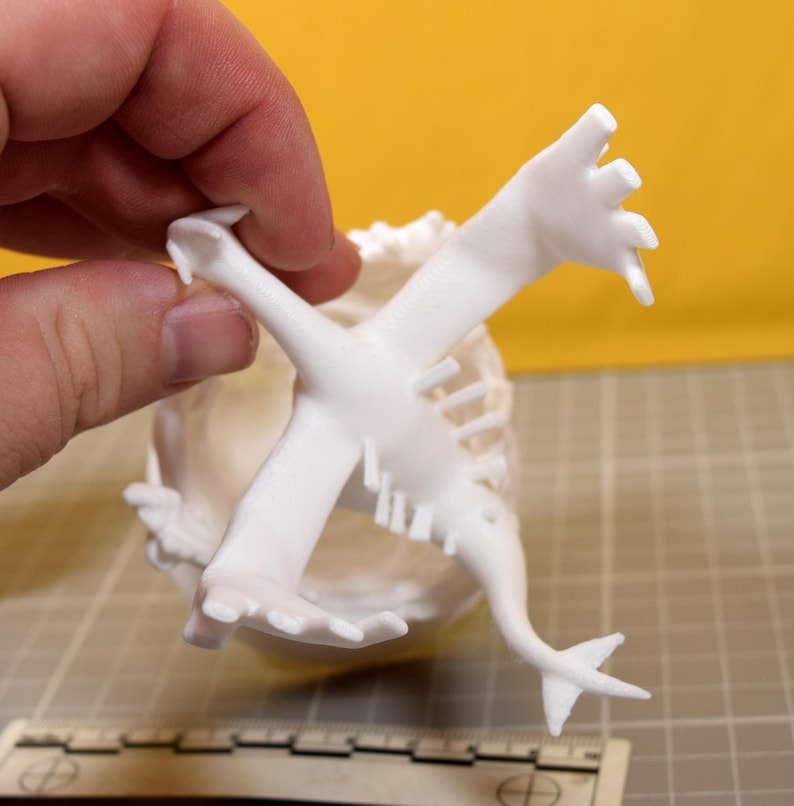 Lugia Diving Pokemon Whirlpool Base Display Paintable Matte White PLA Figure Collectible Miniature image 8