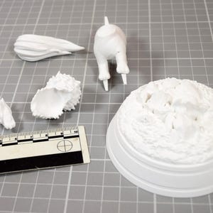 Arcanine Legendary Pokemon Diorama 6 Piece Paintable Miniature Display Outcrop Matte White PLA Figure image 19