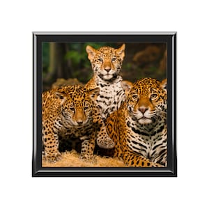 Jewelry Box, jaquar jewerly box,  animal jewelry box, unique animal jewelry, jewelry storage, keepsake box, Christmas gift, gift for her
