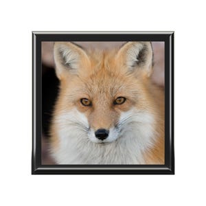 Jewelry Box, Fox Jewelry box,  animal jewelry box, unique animal jewelry, jewelry storage, keepsake box, christmas gift, gift for her