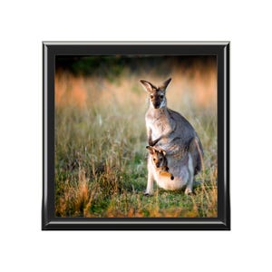 Jewelry Box, kangaroo jewerly box,  animal jewelry box, unique animal jewelry, jewelry storage, keepsake box, christmas gift, gift for her