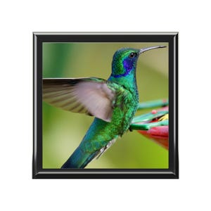 Jewelry Box, hummingbird jewelry box, animal jewelry box, unique animal jewelry, jewelry storage, keepsake box