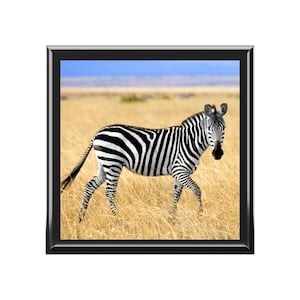 Jewelry Box, keepsake Box, zebra jewelry box, animal jewelry box, unique animal jewelry, jewelry storage, Christmas box, gift for her