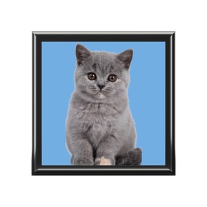 British Short Hair Jewelry Box - Cat Lover Gift, Keepsake Box, Decorative Storage, Wooden Jewelry Organizer, Pet Owner Present