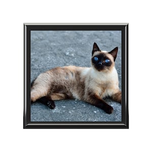 Siamese Cat Jewelry Box,  Trinket Box, Cat Lover Gift, Decorative Pet Storage Case, Unique Feline Organizer, Cat themed