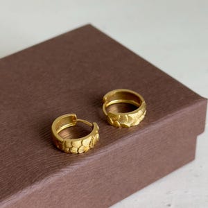 May include: A pair of gold-colored hoop earrings with a textured, scale-like pattern. The earrings are displayed on a brown box, showcasing their design and color. The earrings are a jewelry item.