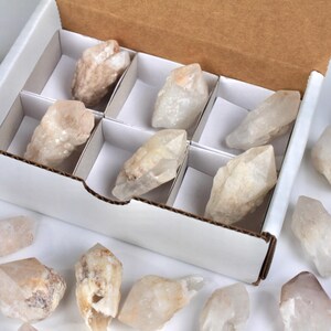 May include: A white cardboard box with a brown interior holds several raw quartz crystals. The crystals are various sizes and shapes, with a mix of clear and beige tones. Some crystals are scattered around the box.