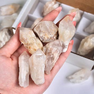 May include: A collection of raw quartz crystals in varying shapes and sizes. Some crystals are held in a hand, while others are arranged in a white box and scattered on a white surface. The crystals display a range of colors, from clear to milky white and light brown.